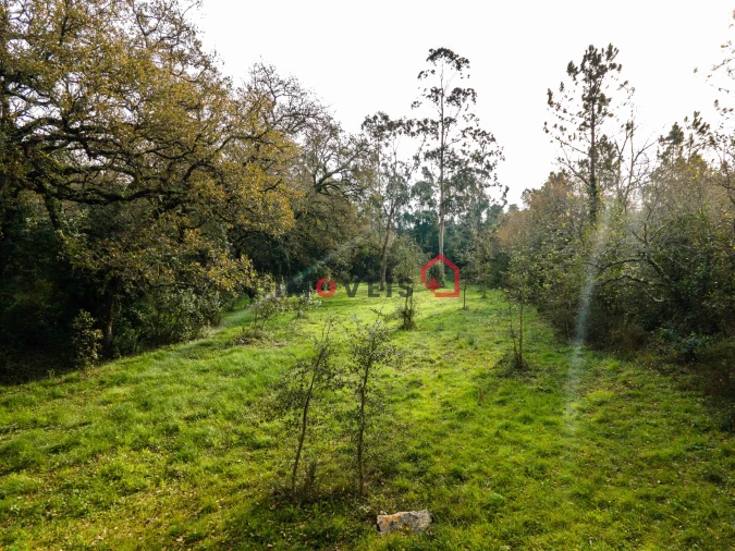 Terreno para Venda em Aljubarrota Foto 13