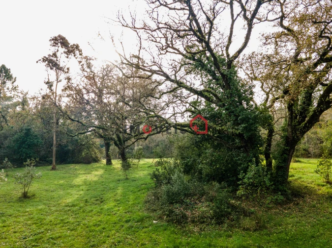 Terreno para Venda em Aljubarrota Foto 10