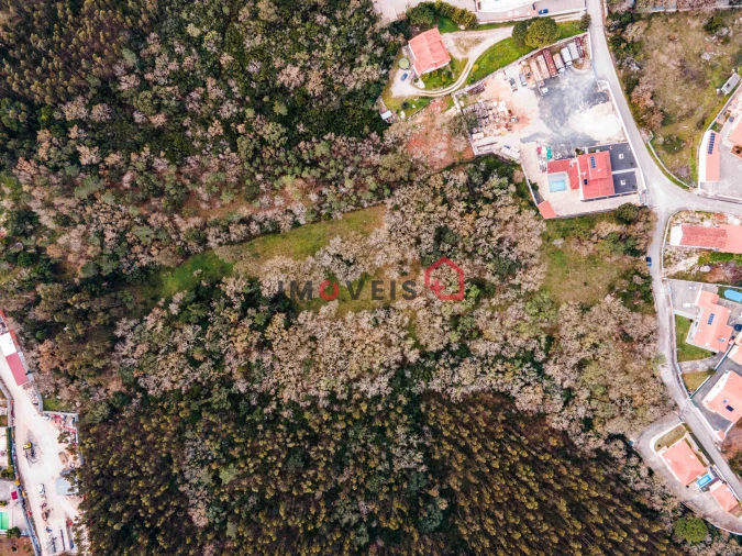 Terreno para Venda em Aljubarrota Foto 1