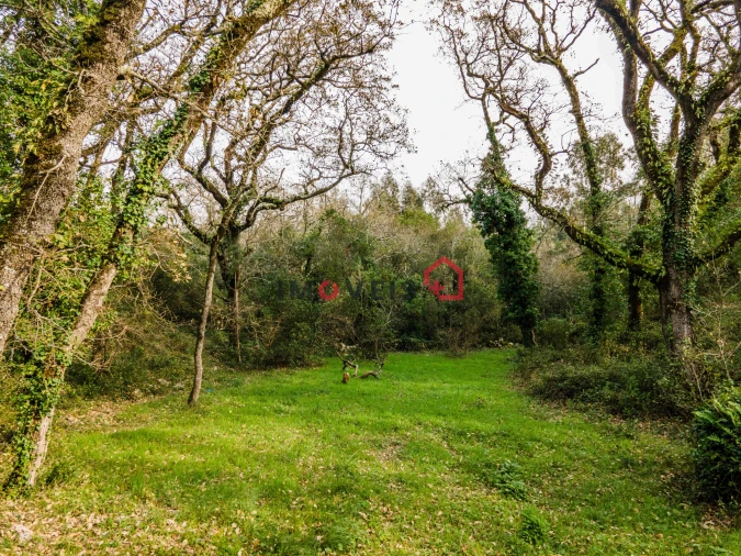 Terreno para Venda em Aljubarrota Foto 11