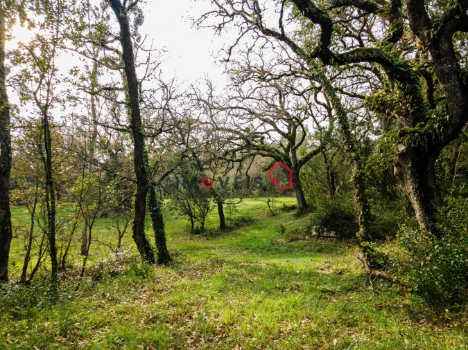 Terreno para Venda em Aljubarrota Foto 8