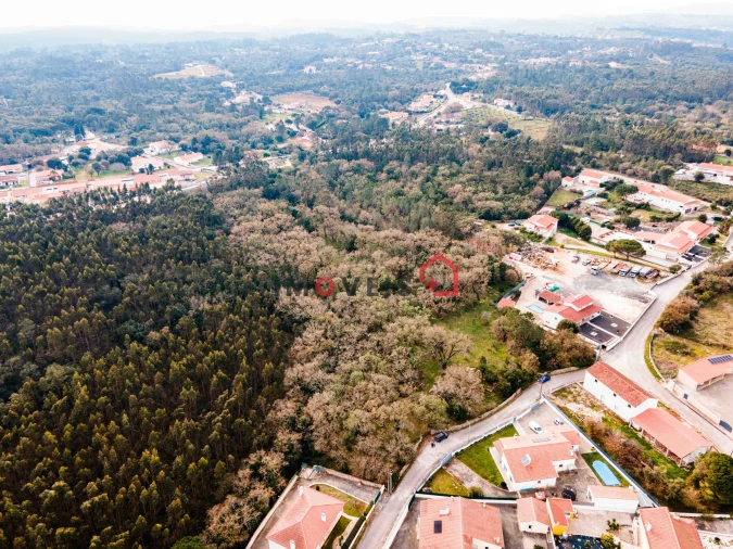 Terreno para Venda em Aljubarrota Foto 2