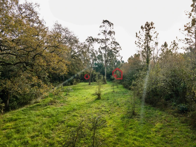 Terreno para Venda em Aljubarrota Foto 15