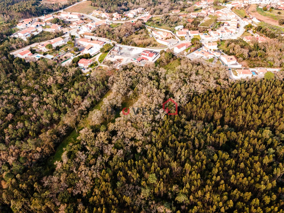 Terreno para Venda em Aljubarrota Foto 4
