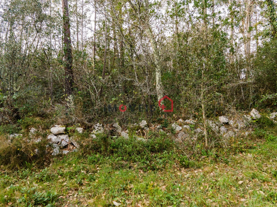 Terreno para Venda em Aljubarrota Foto 17