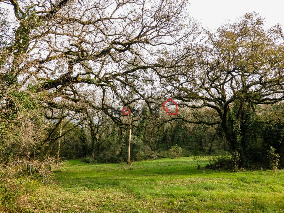 Terreno para Venda em Aljubarrota Foto 12