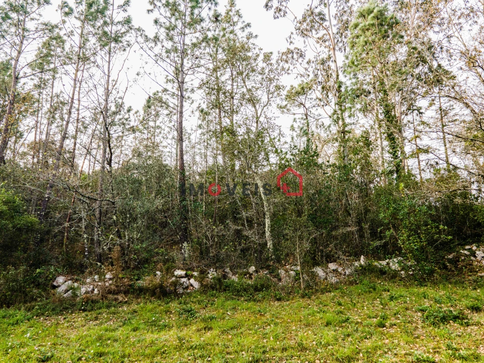 Terreno para Venda em Aljubarrota Foto 16