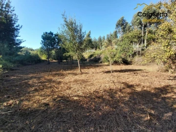 Terreno para Venda em Sertã