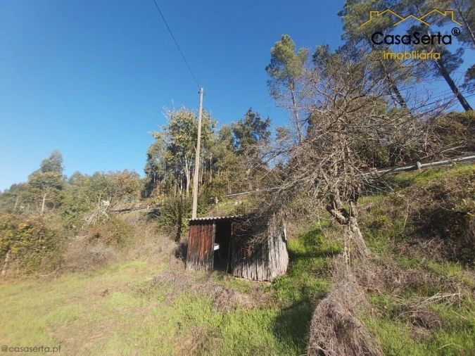 Terreno para Venda em Sertã Foto 8