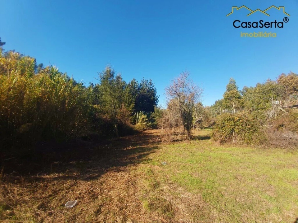 Terreno para Venda em Sertã Foto 6
