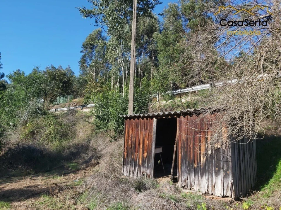 Terreno para Venda em Sertã Foto 9