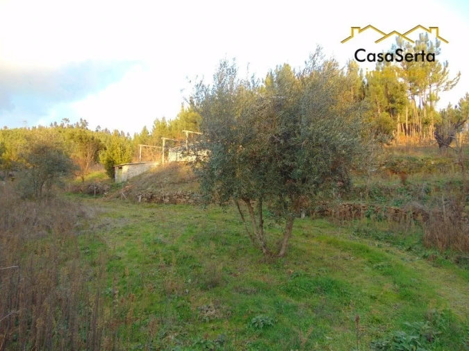 Terreno para Venda em Varzea dos Cavaleiros Foto 9