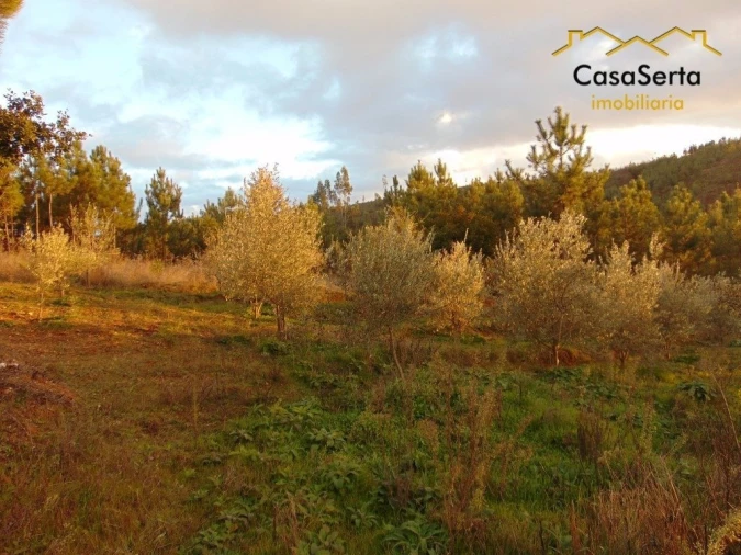 Terreno para Venda em Varzea dos Cavaleiros Foto 5
