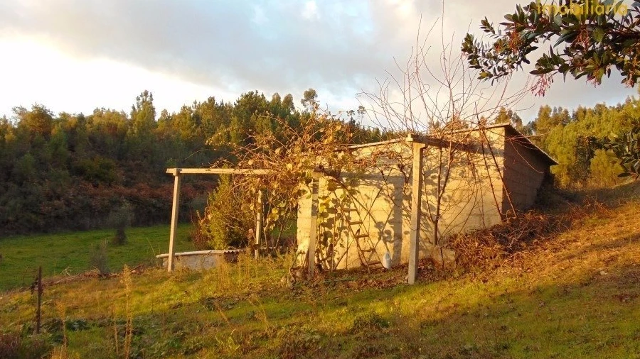 Terreno para Venda em Varzea dos Cavaleiros