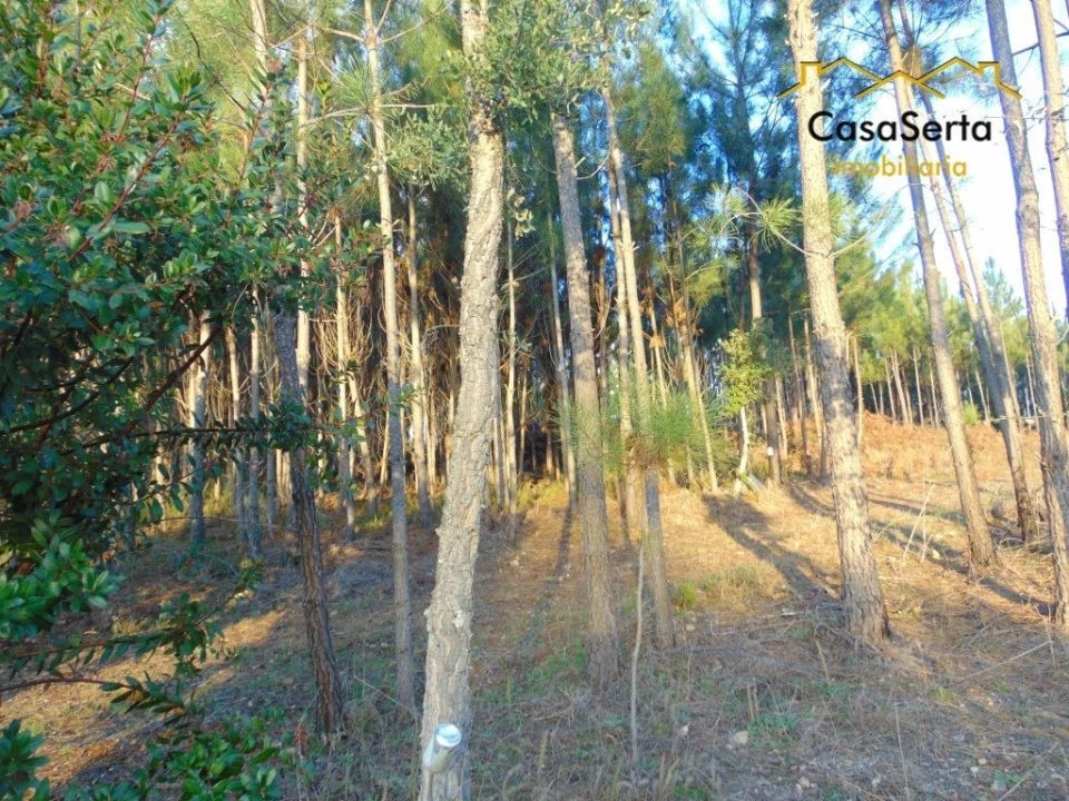 Terreno para Venda em Varzea dos Cavaleiros Foto 8