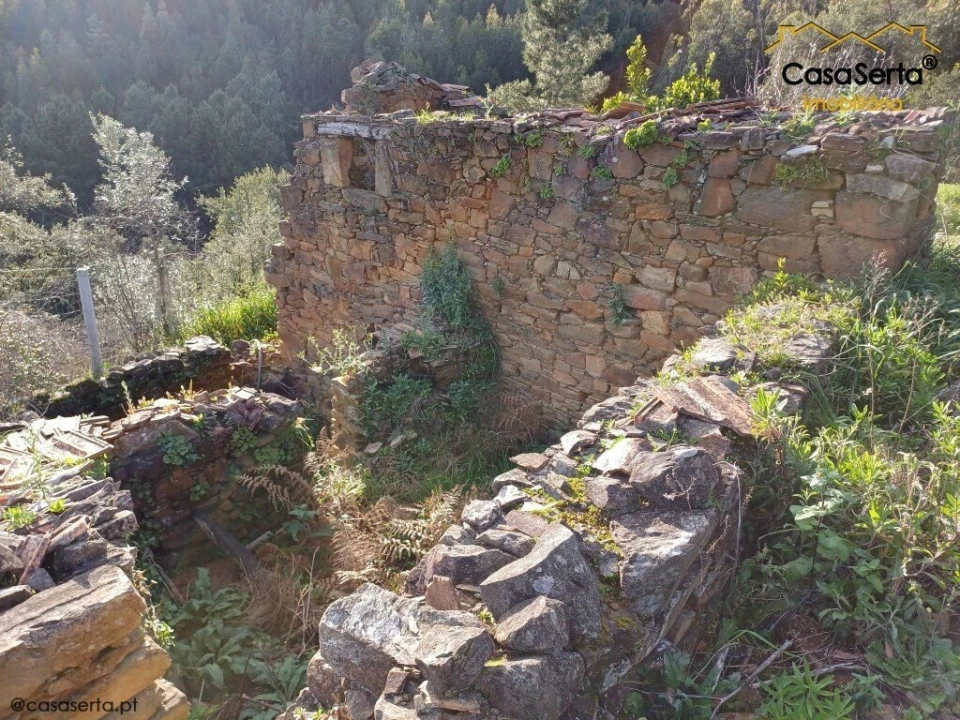 Quinta T3 para Venda em Troviscal Foto 6