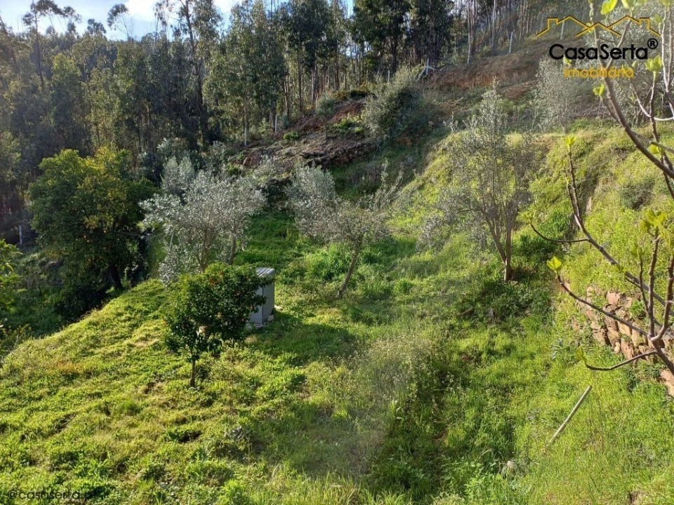 Quinta T3 para Venda em Troviscal Foto 14