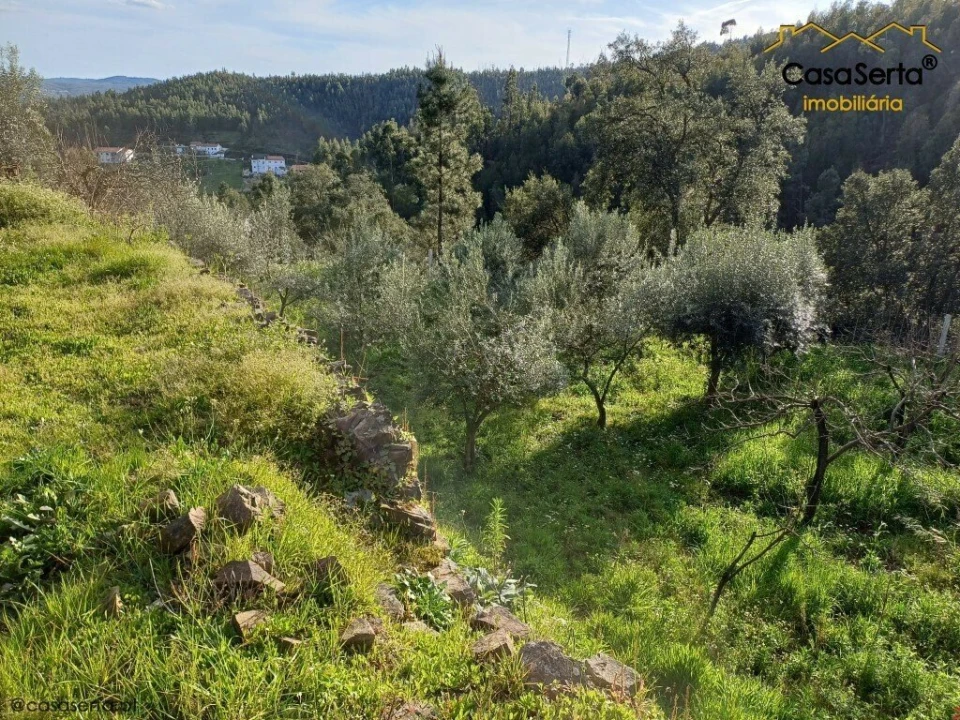 Quinta T3 para Venda em Troviscal Foto 8