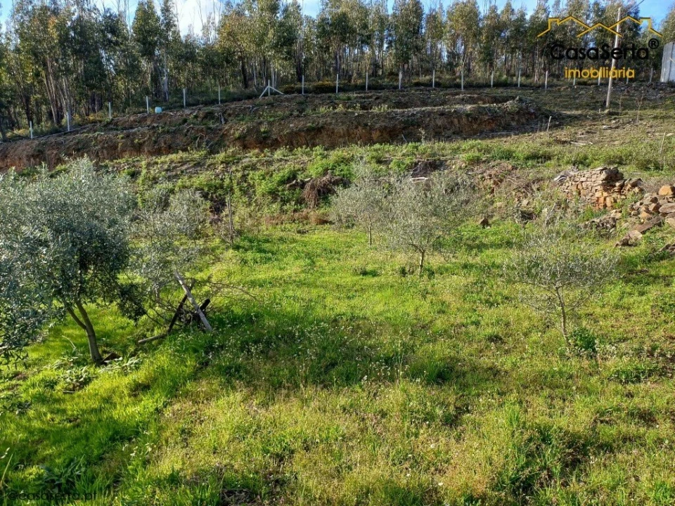 Quinta T3 para Venda em Troviscal Foto 13