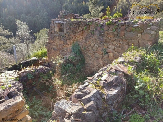 Quinta T3 para Venda em Troviscal Foto 6