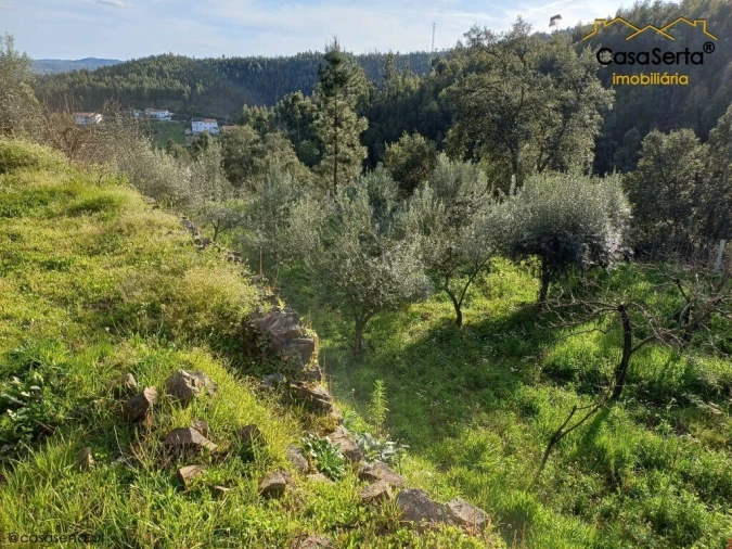 Quinta T3 para Venda em Troviscal Foto 8