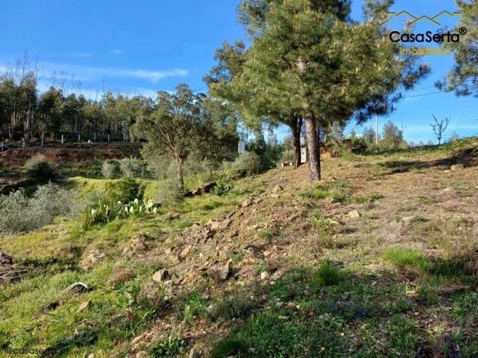 Quinta T3 para Venda em Troviscal Foto 3