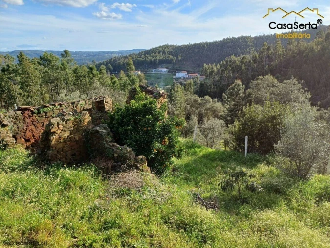 Quinta T3 para Venda em Troviscal Foto 7