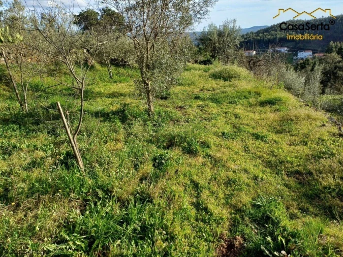 Quinta T3 para Venda em Troviscal Foto 9