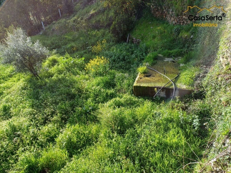 Quinta T3 para Venda em Troviscal Foto 11