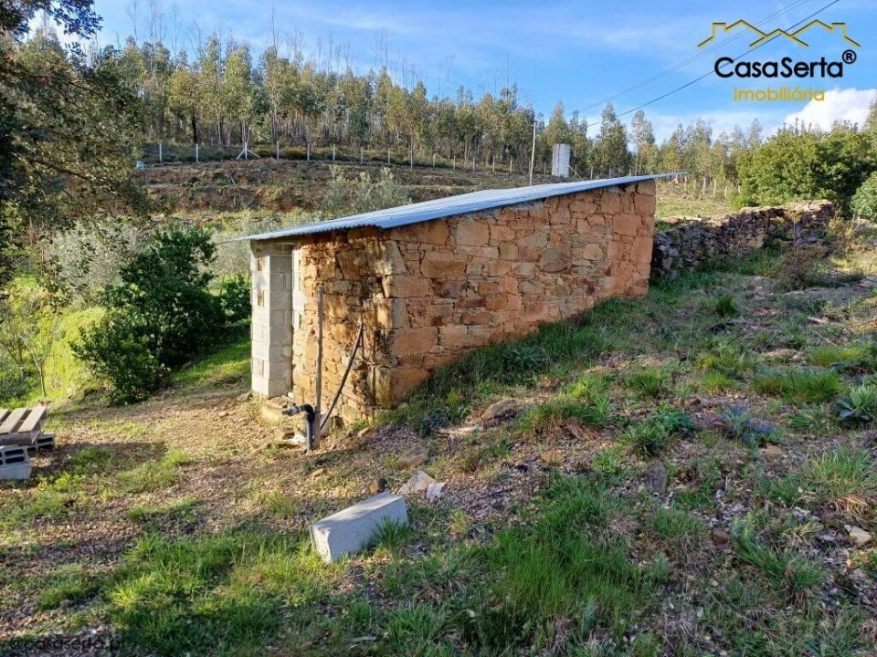 Quinta T3 para Venda em Troviscal Foto 20