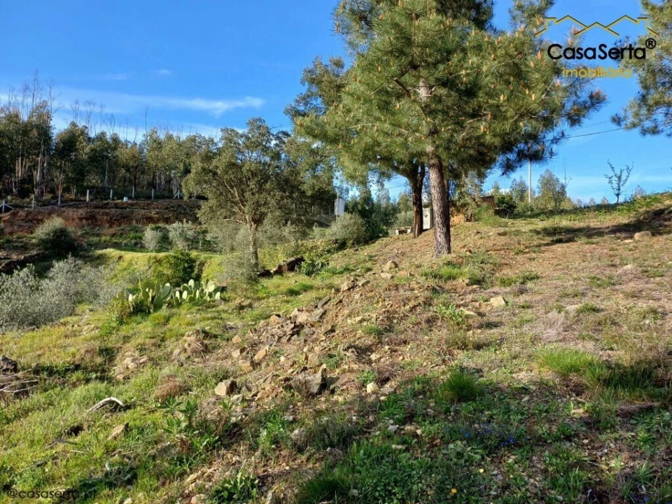 Quinta T3 para Venda em Troviscal Foto 3