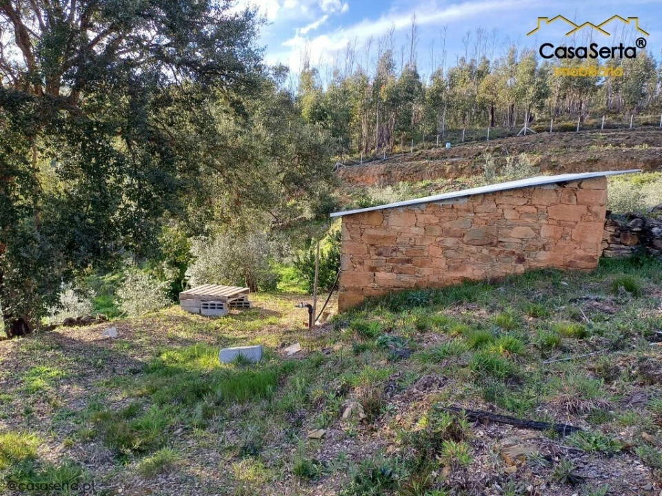 Quinta T3 para Venda em Troviscal Foto 19