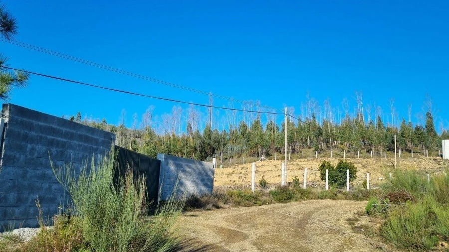 Quinta T3 para Venda em Troviscal