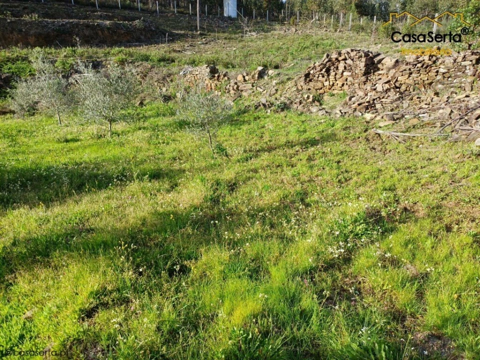 Quinta T3 para Venda em Troviscal Foto 17