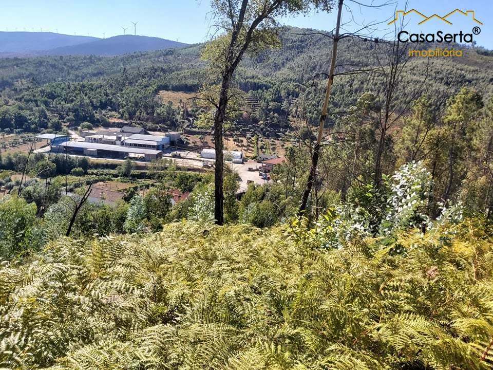Terreno para Venda em Mosteiro Foto 1