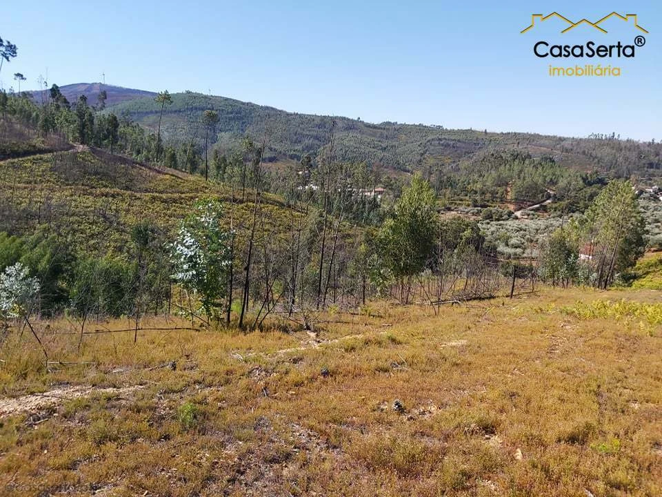 Terreno para Venda em Mosteiro Foto 4