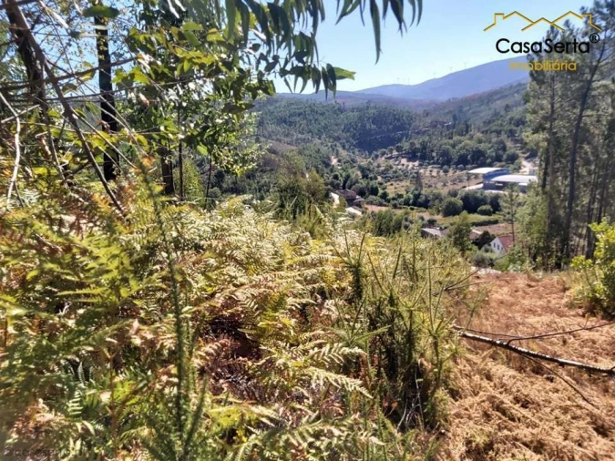 Terreno para Venda em Mosteiro Foto 6