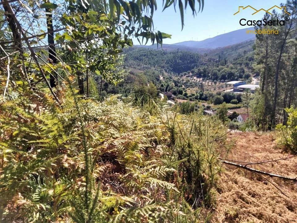 Terreno para Venda em Mosteiro Foto 6