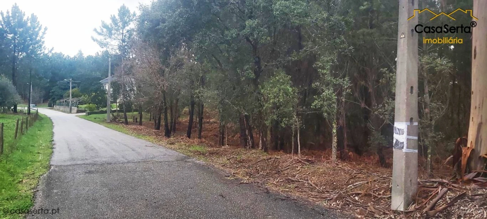 Terreno para Venda em Sertã Foto 2