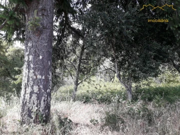 Terreno para Venda em Sertã
