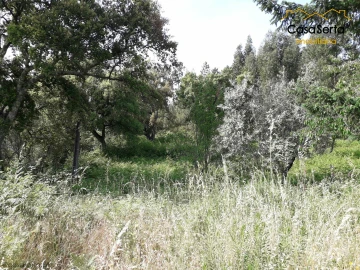 Terreno para Venda em Sertã