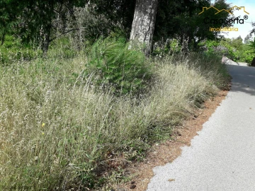 Terreno para Venda em Sertã