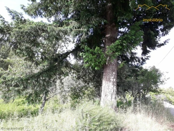 Terreno para Venda em Sertã