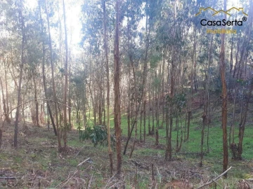 Terreno para Venda em Sertã