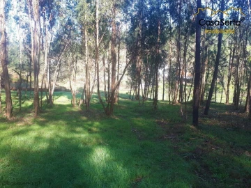 Terreno para Venda em Sertã