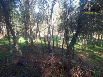 Terreno para Venda em Sertã