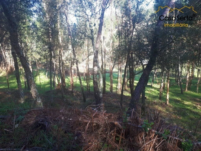 Terreno para Venda em Sertã Foto 5