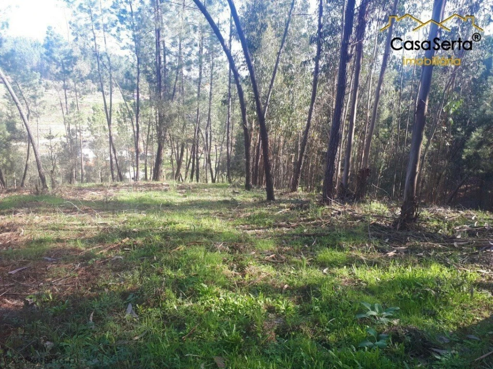 Terreno para Venda em Sertã Foto 1