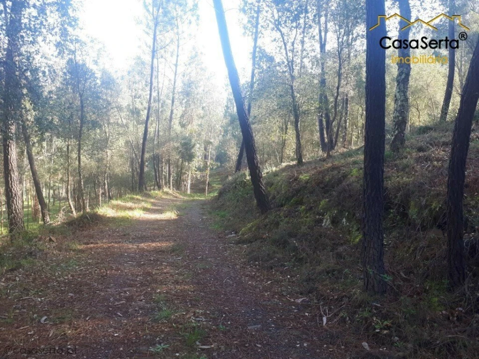 Terreno para Venda em Sertã Foto 4