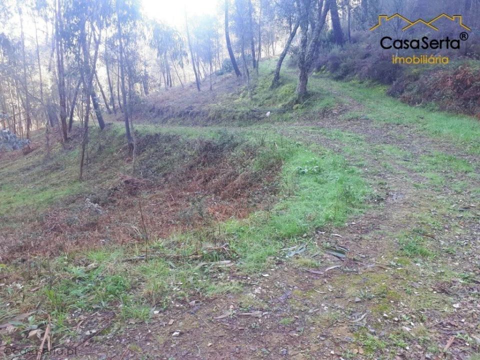 Terreno para Venda em Sertã Foto 3